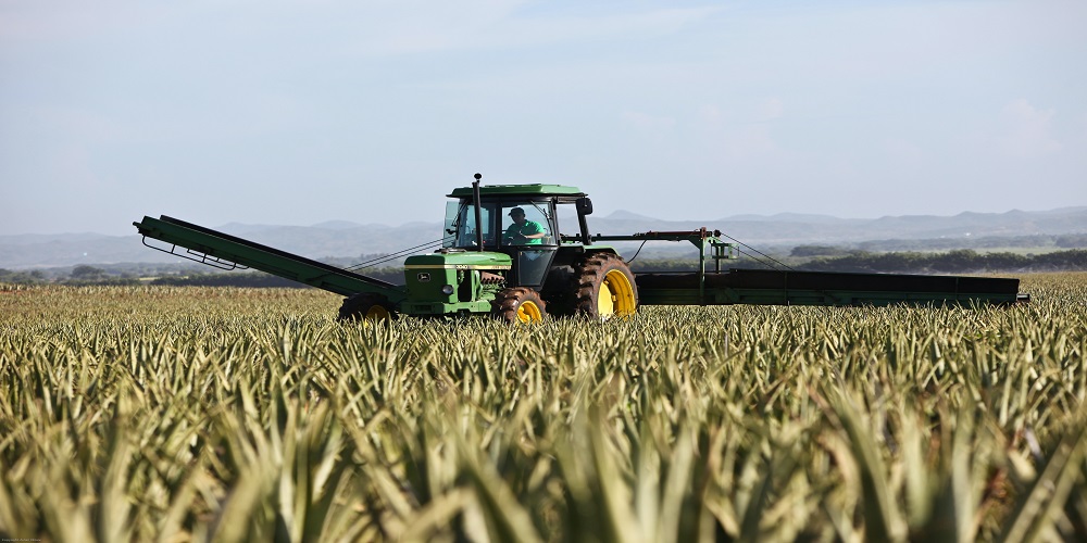 Publicado hoy en el BOE. Ayudas directas para compensar a agricultores y ganaderos por la subida del precio de carburantes y fertilizantes
