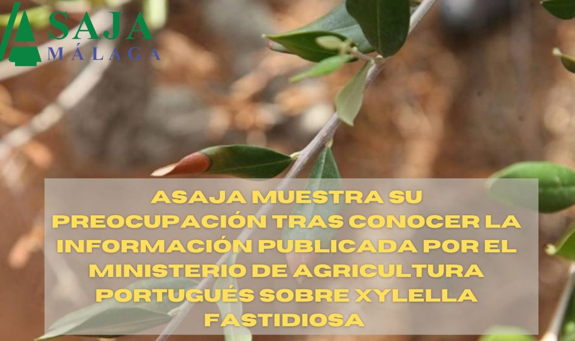 ASAJA muestra su preocupación tras conocer la información publicada por el Ministerio de Agricultura portugués sobre Xylella fastidiosa