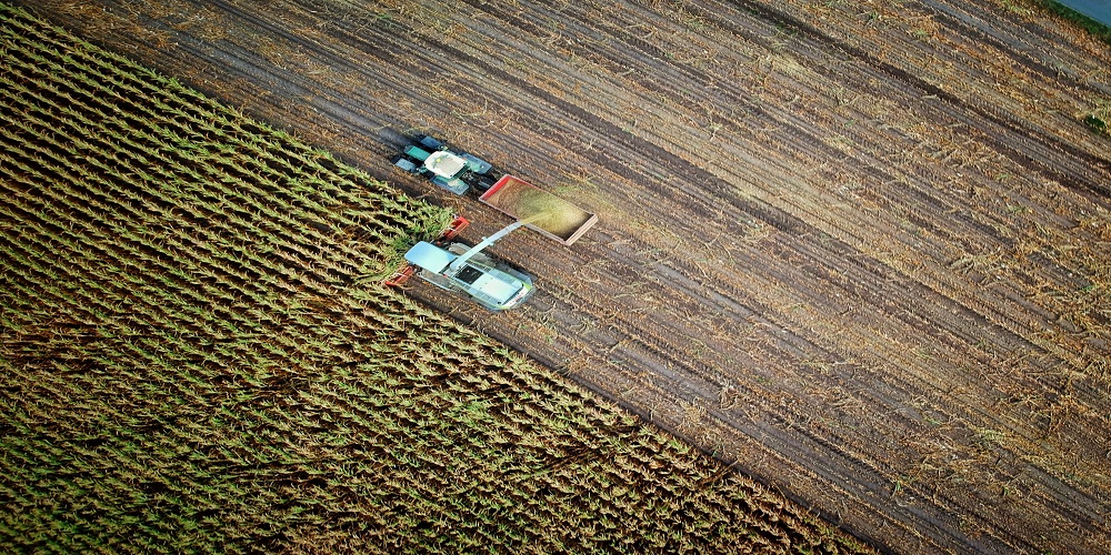 <strong>Resolución de ayudas al sector agroalimentario, ganadero y de la pesca en Málaga</strong>