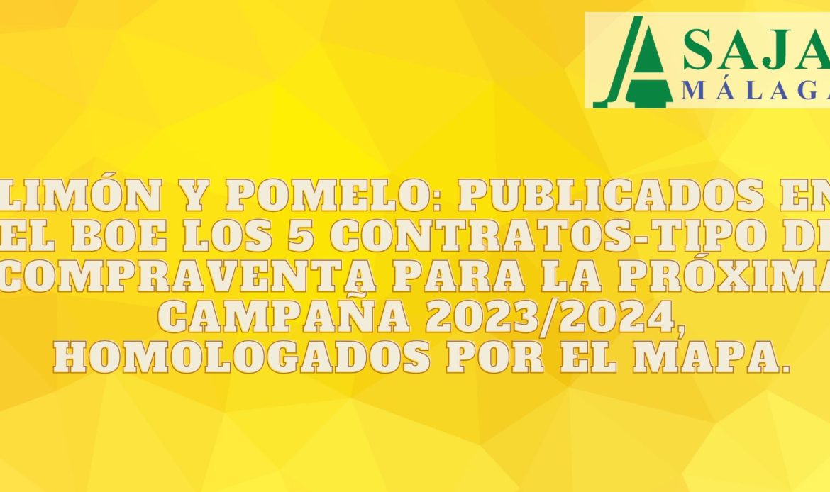 Limón y pomelo: contratos tipo homologados