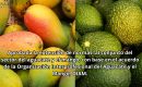 Aprobada la extensión de norma para el aguacate y mango