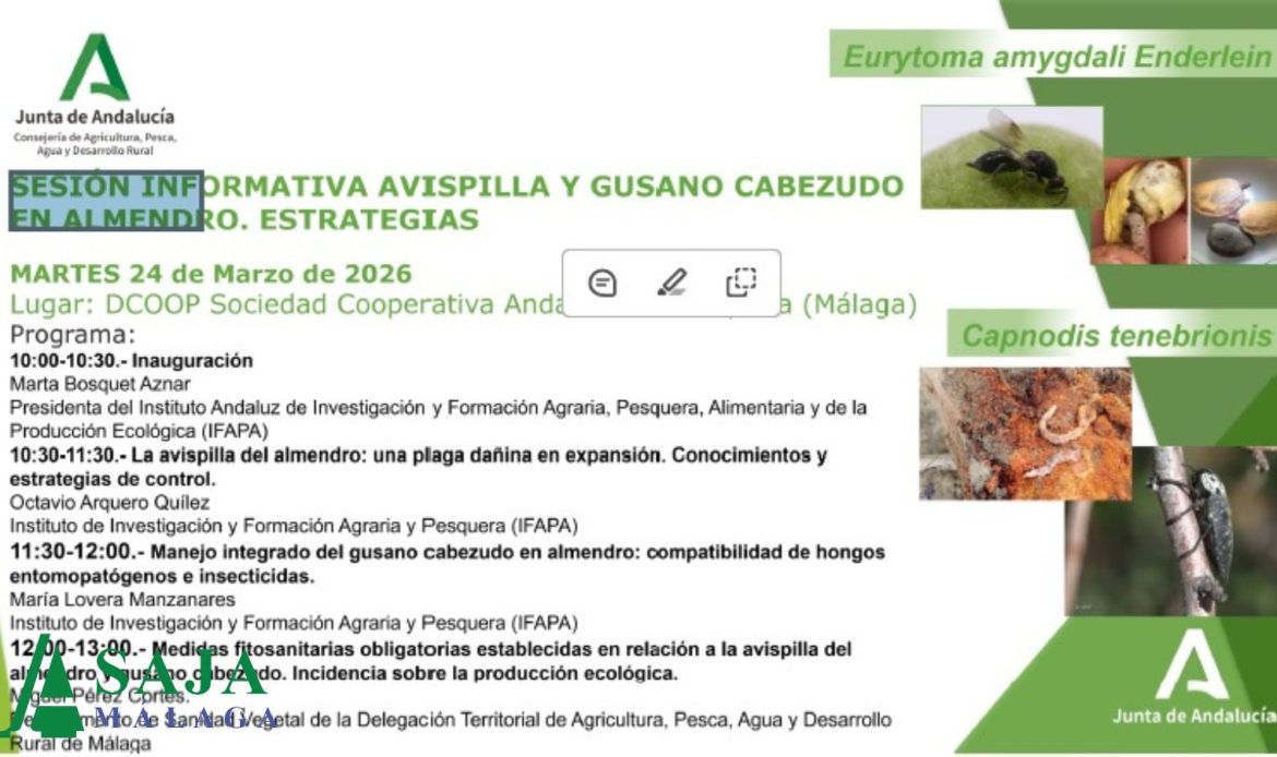 Sesión informativa avispilla y gusano cabezudo en el almendro