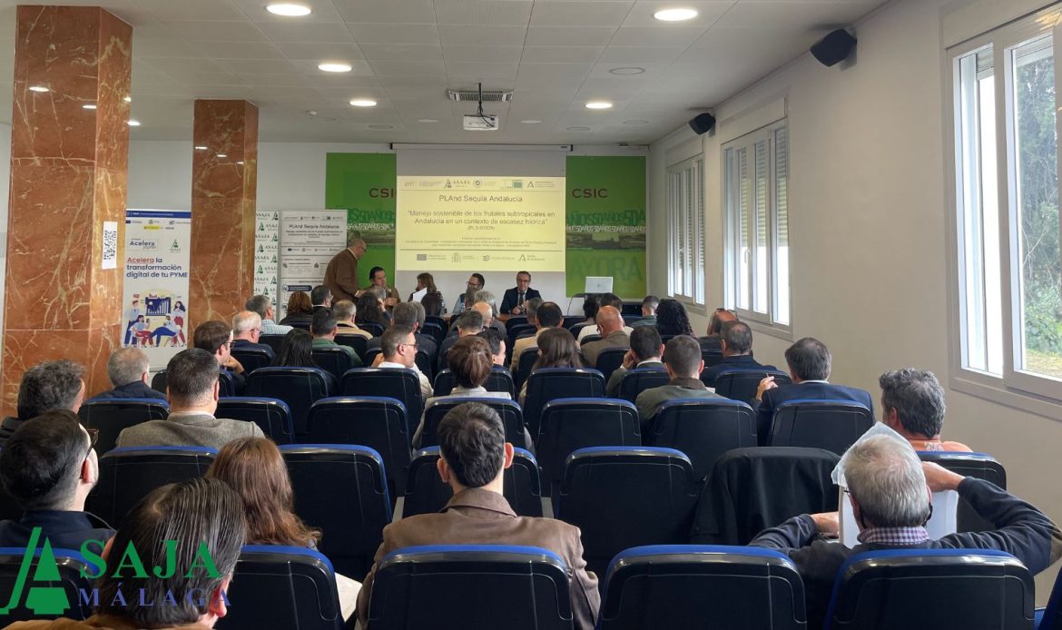 La Mayora acoge una jornada sobre manejo sostenible de frutales subtropicales ante la escasez hídrica