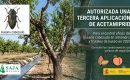 Autorizada una tercera aplicación de acetamiprid contra el gusano cabezudo en almendro y frutales de hueso