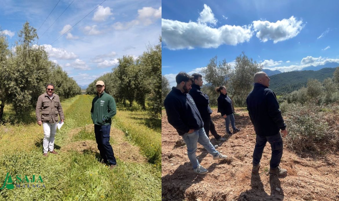 Dos explotaciones malagueñas participan en el Programa CULTIVA como modelos de formación para jóvenes agricultores